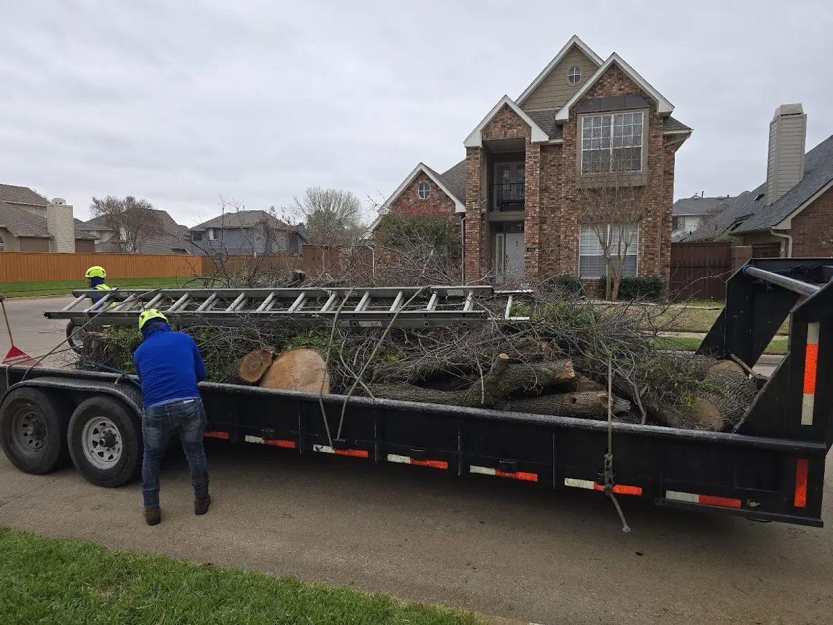 Expert Tree Fertilization with proper safety equipment in Rocheport